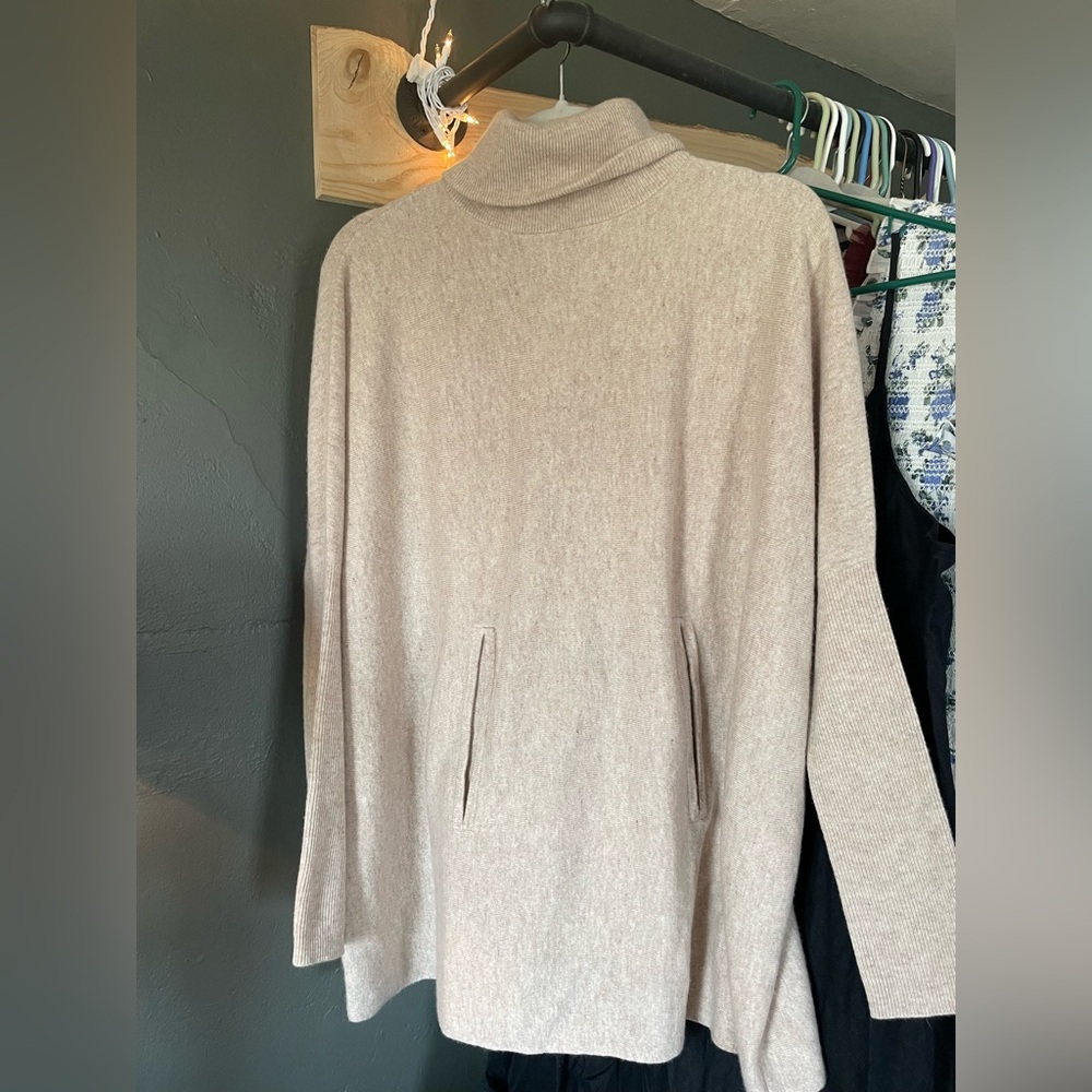Garnet Hill Cashmere Beige turtleneck Neck Sweater